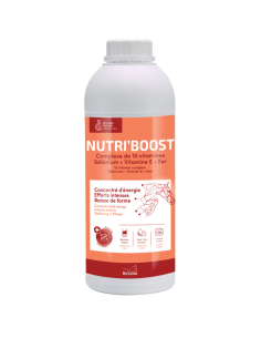 Complement Ravene Nutri'Boost 900ml
