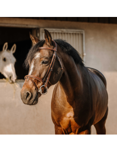 Bridon Eric Thomas Crown