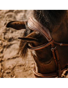 Bridon Eric Thomas Crown 2