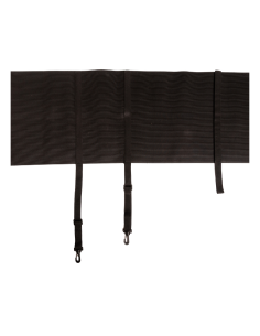 Kentucky Respect Band 2