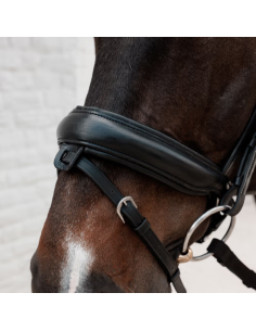 Dy'On Pull Back Special FEI Noseband 2