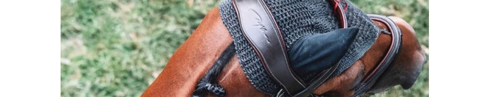 Bridles & Accessories |Horse's equipment
