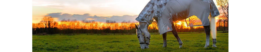 Anti-fly products |Wellness of the horse