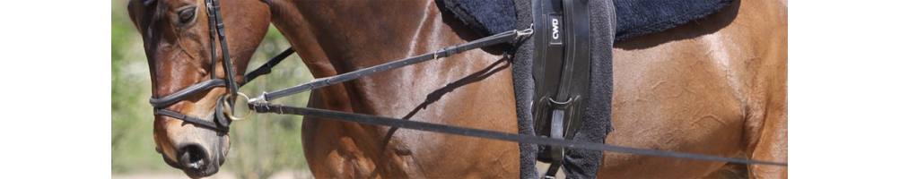 Enrenements du cheval | Materiel d'equitation