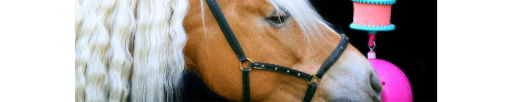 Jouets pour chevaux | Accessoires pour chevaux