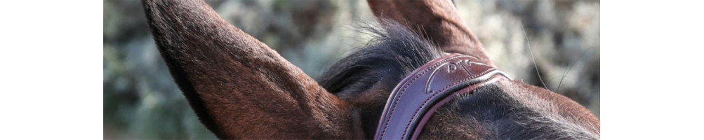 Tetieres pour chevaux | Materiel d'equitation