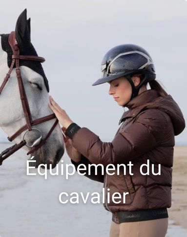 Cheval équipement équitation