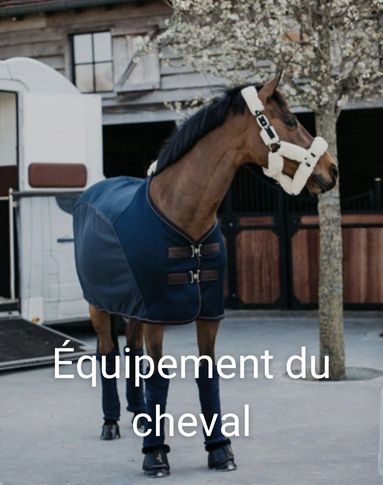 equipement cheval  Equitation, Equipement cheval, Accessoires pour chevaux