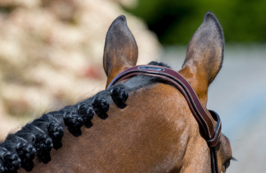 HORSE PILOT – Gilet Airbag d'équitation Twist'Air Mixte
