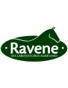 Ravene