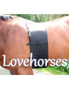 Lovehorses