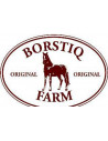 Borstiq